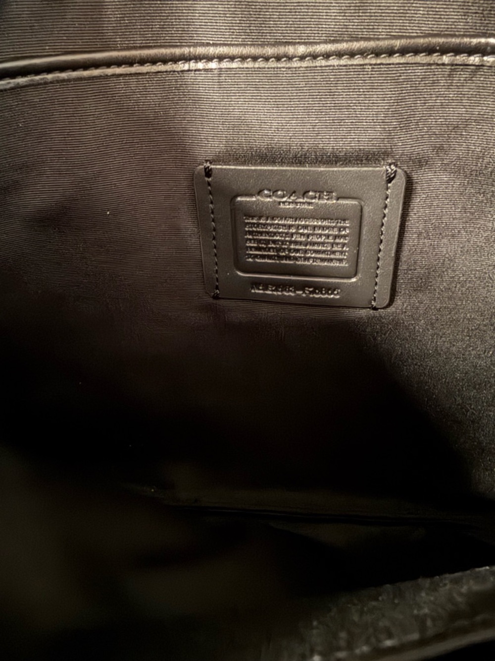 Coach Rainbow Horse and Carriage Large Pouch (NWT) - Picture 8 of 11